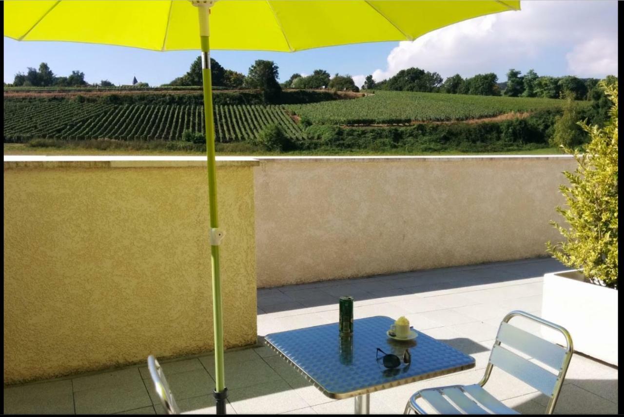 Gites Des Sablons Châtillon-sur-Marne Exterior photo